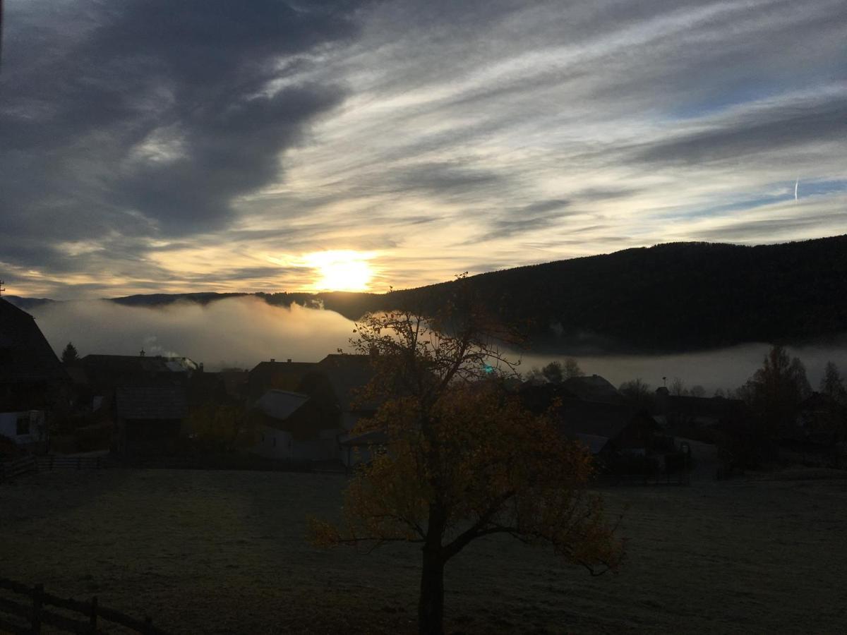 Stoff-Maurerguetl Lägenhet Mauterndorf  Exteriör bild